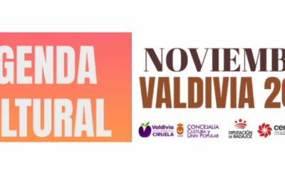 AGENDA CULTURAL- NOVIEMBRE 2025